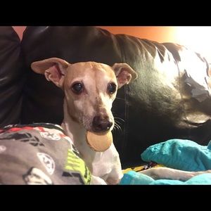 Meet your Posher, Chip